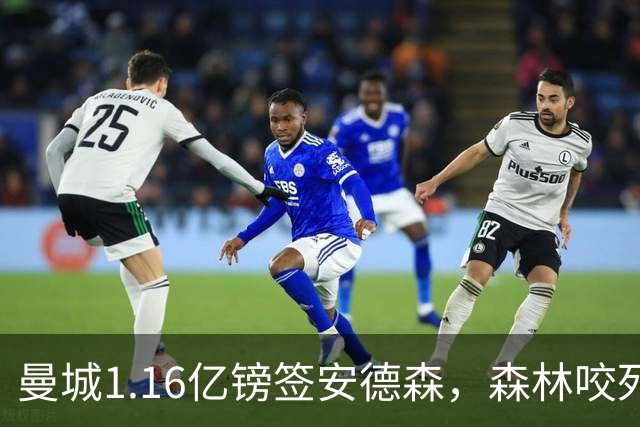 曼城1.16亿镑签安德森，森林咬死现金支付，创英球员转会纪录